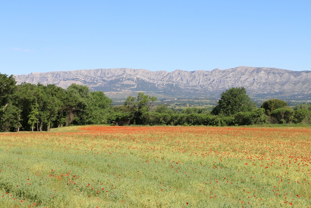 Nature Sainte Victoire